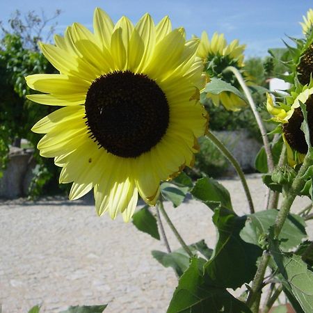 Vimieiro  Quinta Da Abrunheira 아파트 외부 사진