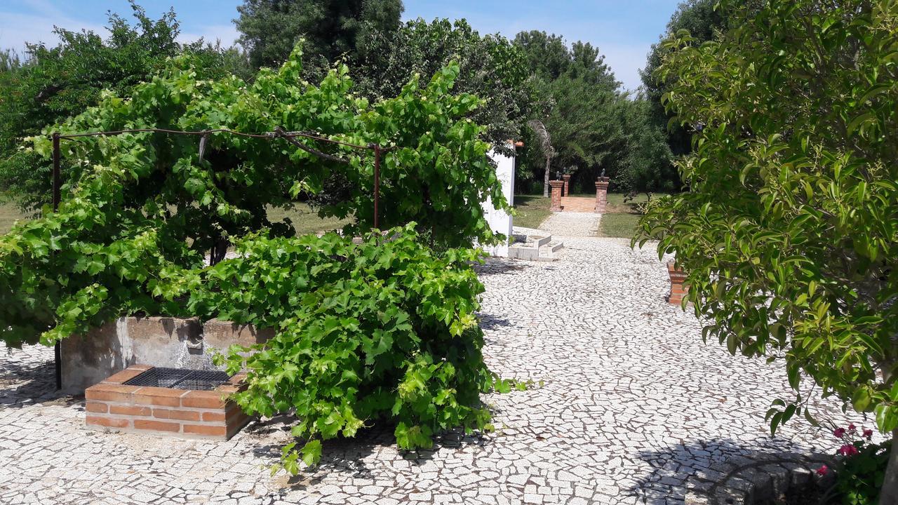 Vimieiro  Quinta Da Abrunheira 아파트 외부 사진